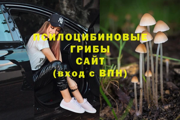 тгк Баксан