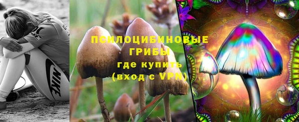 тгк Баксан